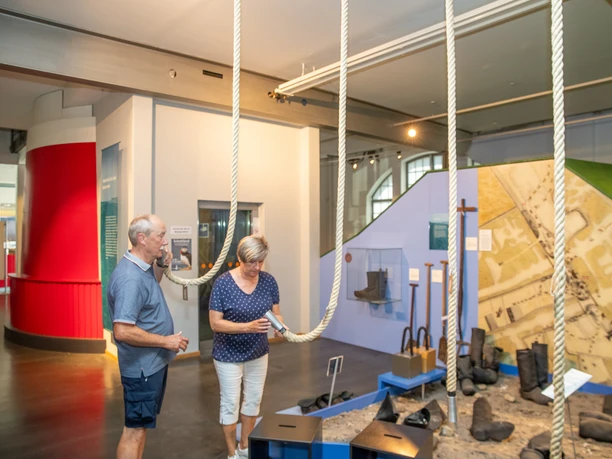 MS016040_Stoever_CC BY.jpg