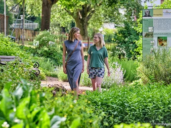 Kräutergarten des Kneipp-Kurpark Bad Camberg