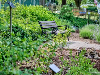 Kräutergarten des Kneipp-Kurpark Bad Camberg