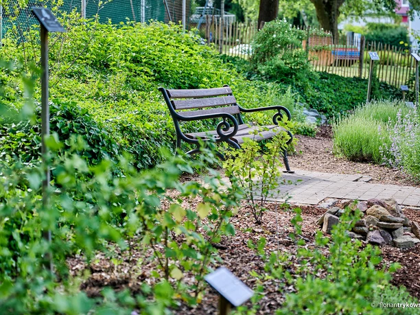 Kräutergarten des Kneipp-Kurpark Bad Camberg