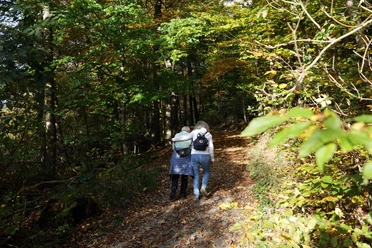 Heilklima-Wandern in Königstein Heilklima-Wandern in Königstein
