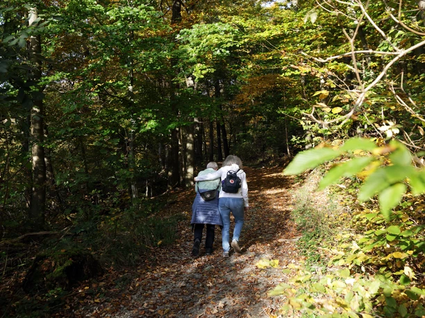 Heilklima-Wandern in Königstein Heilklima-Wandern in Königstein