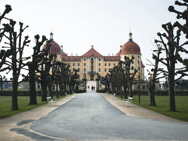 Schloss Moritzburg.jpg Schloss Moritzburg mit kahlen Bäumen im Vordergrund und blauem Himmel im Hintergrund.