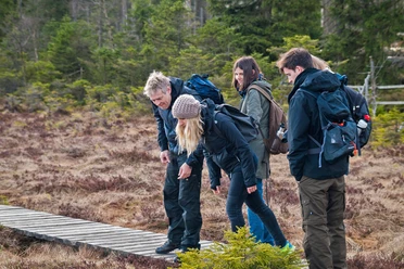 Wildniswanderung für Familien
