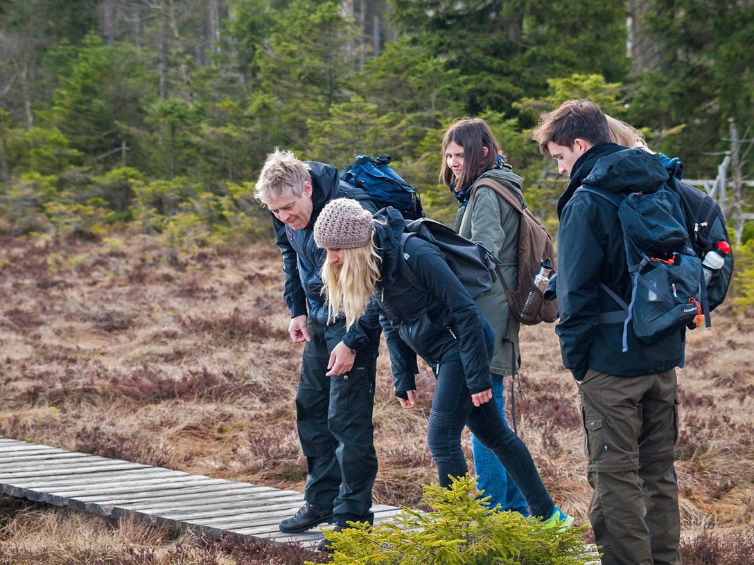 Wildniswanderung für Familien