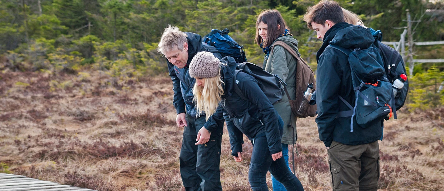 Wildniswanderung für Familien