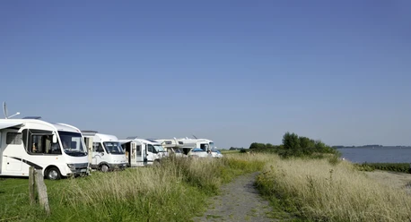 Holstein_Bielenberg