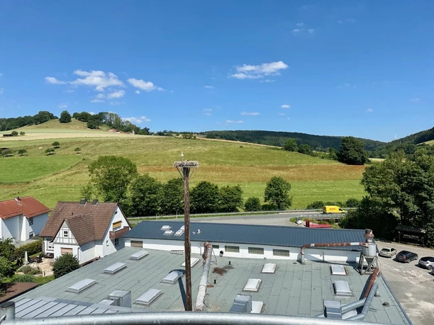 störche_ovenhausen_c_ralflueke (4).jpeg Storchenstange mit Nest und Storch über Dächern