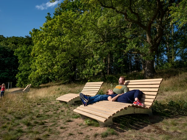 Himmelsliegen auf dem Weyerberg