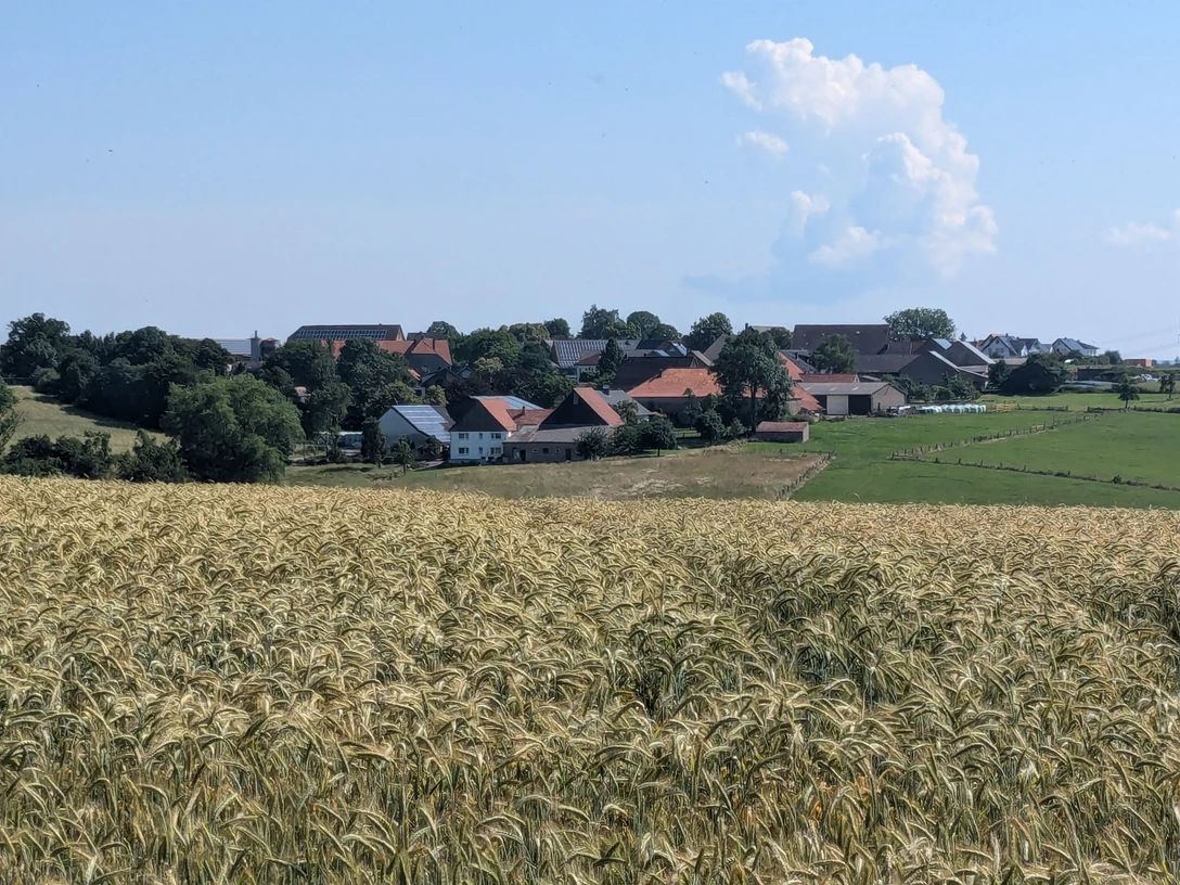 Das Bild zeigt Rothe aus der Ferne, umgeben von weiten Getreidefeldern unter klarem Himmel.
