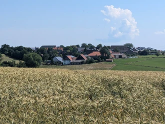 Blick auf Rothe Das Bild zeigt Rothe aus der Ferne, umgeben von weiten Getreidefeldern unter klarem Himmel.