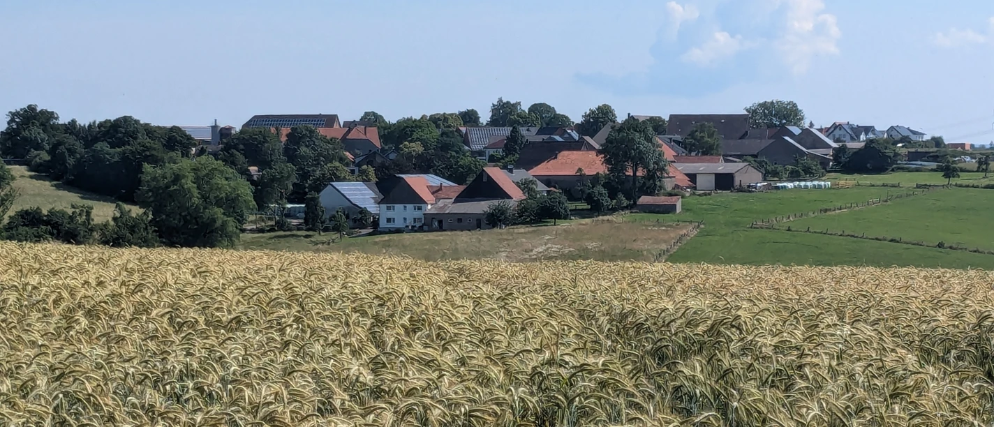 Blick auf Rothe Das Bild zeigt Rothe aus der Ferne, umgeben von weiten Getreidefeldern unter klarem Himmel.