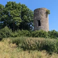 Der historische Wartturm Rothe erhebt sich majestätisch neben einem großen Baum inmitten grüner Felder.