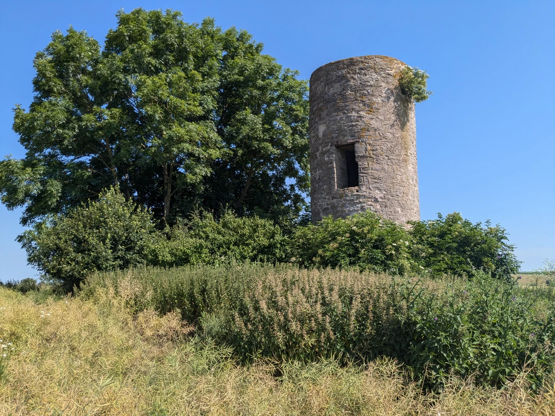 Wartturm Rothe Der historische Wartturm Rothe erhebt sich majestätisch neben einem großen Baum inmitten grüner Felder.