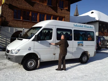 Salwidelibus im Winter