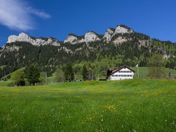 Aussenansicht im Hintergrund die Schwändelifluh