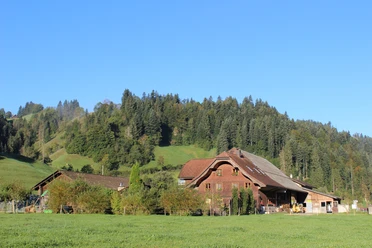 The Längmatte in Marbach