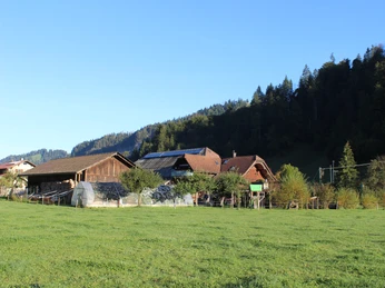 Ein Stück ländliche Idylle mit Weitblick