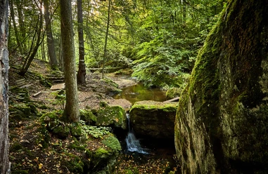 Forellensteig Berggießhübel