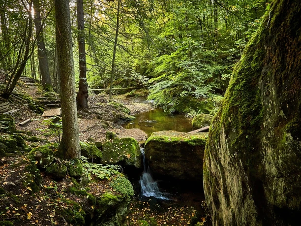 Forellensteig Berggießhübel