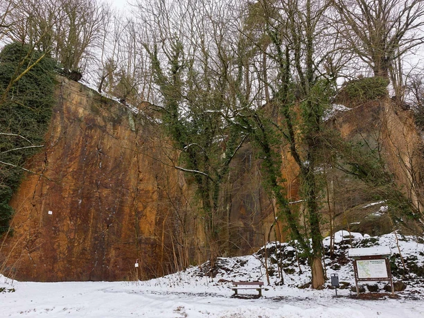 Am Eingang in den Liebethaler Grund