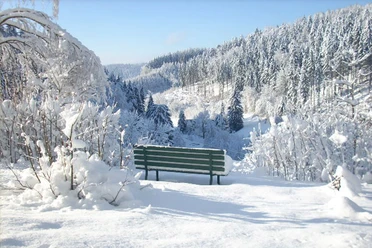 Winterwald bei Hinterhermsdorf