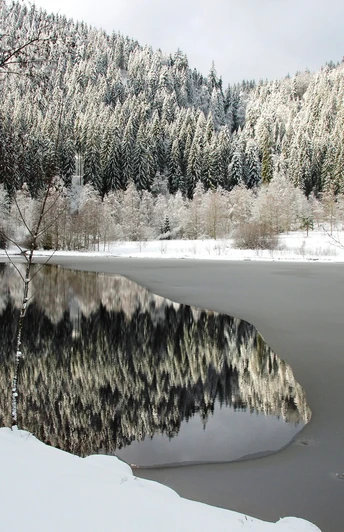 Sankenbachsee im Winter