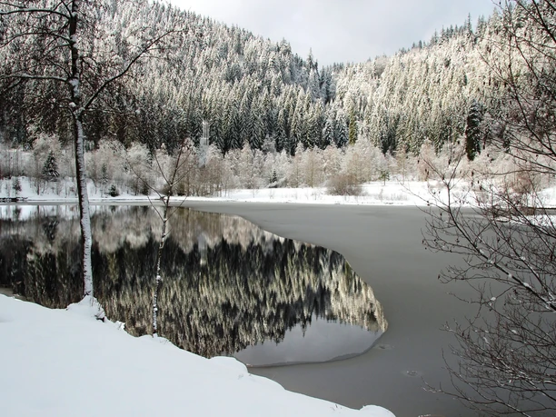 Sankenbachsee im Winter