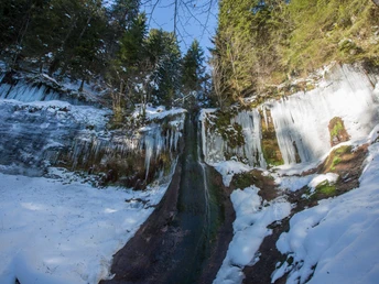 Sankenbacher Wasserfall