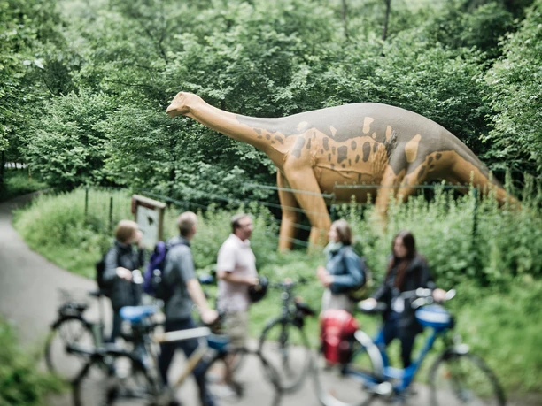 Radeln auf der BE 3 - Rund um Bad Essen