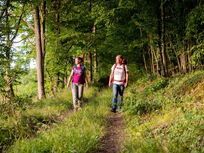 Wanderer auf der Qualitätstour Grafenstieg (Da5)
