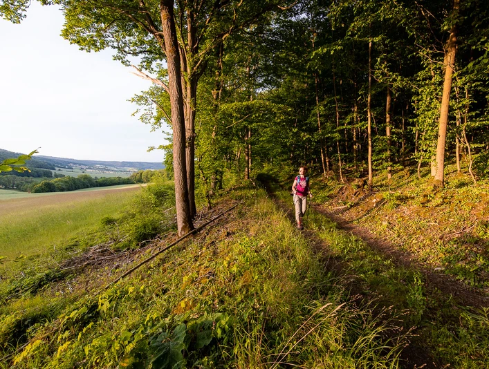 Wandern auf dem Grafenstieg bei Dassel - Da 5