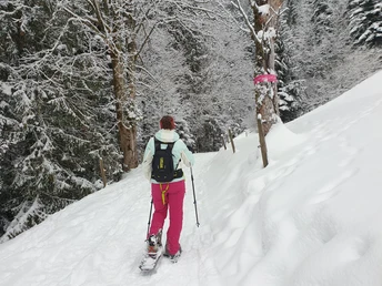 Eine typische Passage durch den Wald