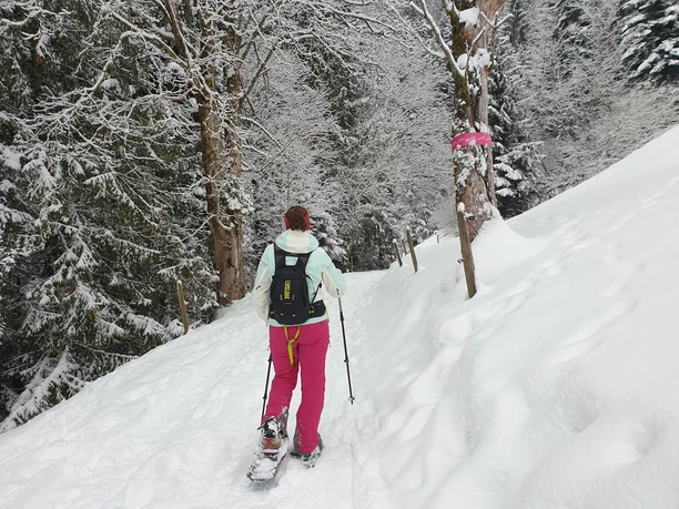 Eine typische Passage durch den Wald