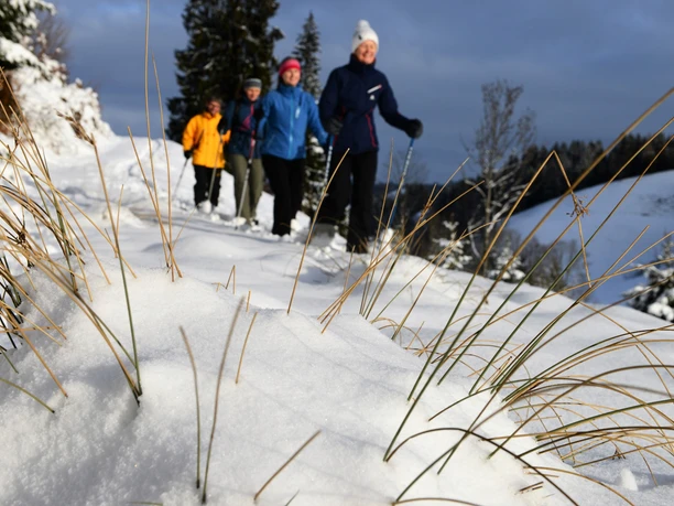 Unterwegs im Napfbergland