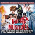 Ensemble von Musicaldarsteller*innen in leuchtenden Kostümen auf einem Plakat für "Die Nacht der Musicals".