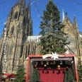 Kölner Dom im Hintergrund, ein geschmückter Weihnachtsbaum davor, festliche Bühne unter blauem Himmel.