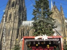 Kölner Dom im Hintergrund, ein geschmückter Weihnachtsbaum davor, festliche Bühne unter blauem Himmel.