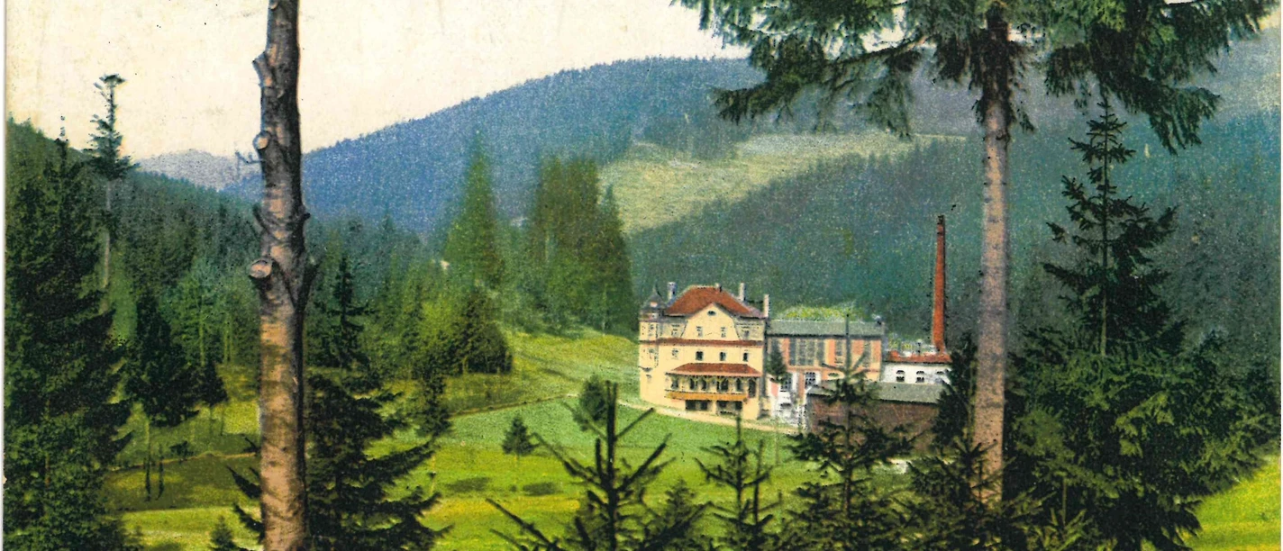 Historische Ansicht der Wolfner Mühle