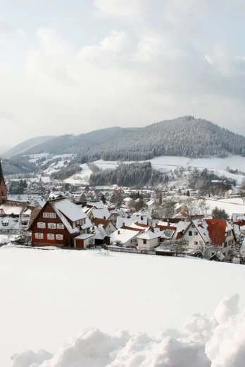 Blick auf Baiersnronn