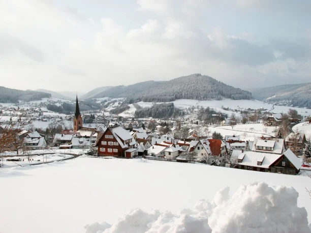 Blick auf Baiersnronn