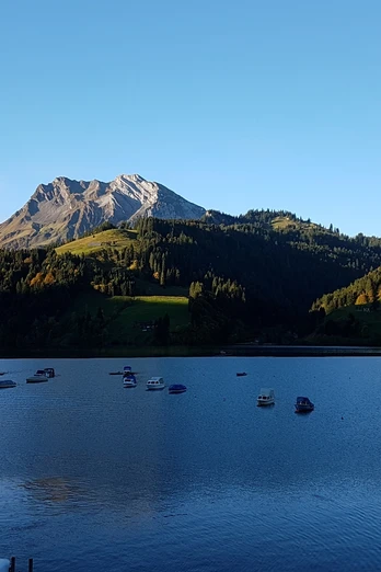 Ausblick auf den Wägitalersee