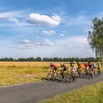 Rennradgruppe unterwegs auf an Kornfeldern liegender StraßeRacing bike group on the road next to cornfieldsRacercykelgruppe på vejen ved siden af kornmarkerRacefietsgroep op de weg naast maïsvelden