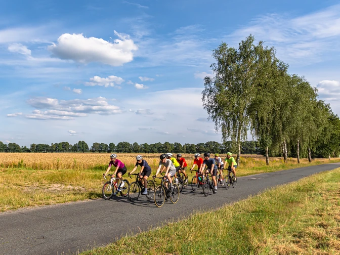 Rennradgruppe unterwegs auf an Kornfeldern liegender StraßeRacing bike group on the road next to cornfieldsRacercykelgruppe på vejen ved siden af kornmarkerRacefietsgroep op de weg naast maïsvelden