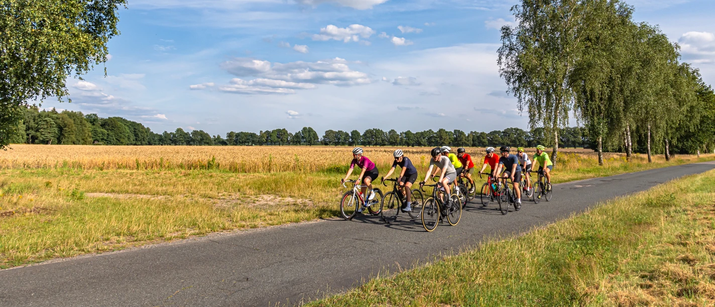Rennradgruppe unterwegs auf an Kornfeldern liegender Straße Racing bike group on the road next to cornfields