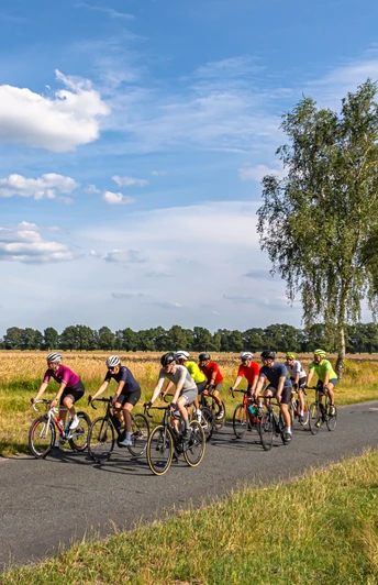 Rennradgruppe unterwegs auf an Kornfeldern liegender Straße Rennradgruppe unterwegs auf an Kornfeldern liegender StraßeRacing bike group on the road next to cornfieldsRacercykelgruppe på vejen ved siden af kornmarkerRacefietsgroep op de weg naast maïsvelden