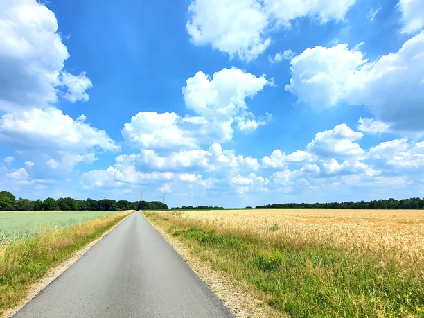 Dwars door de velden