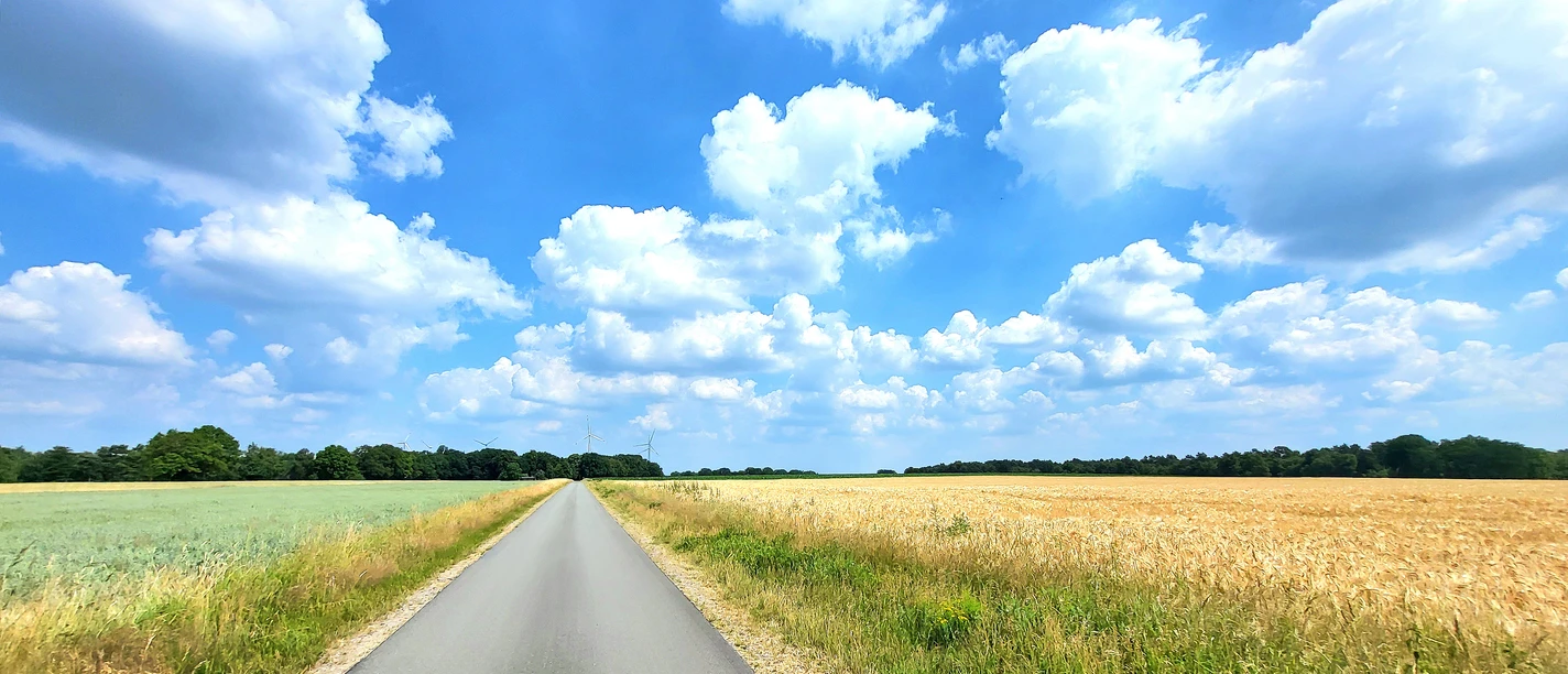 Mitten durch die Felder Dwars door de velden