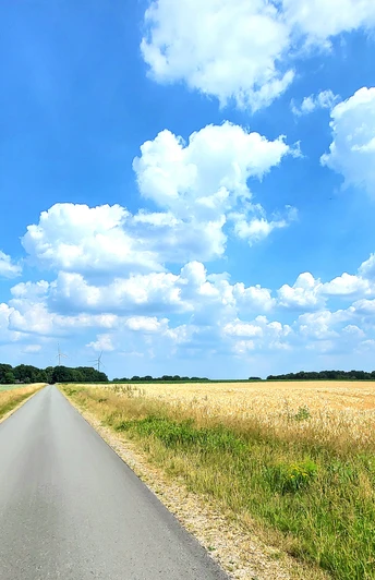 Mitten durch die Felder Mitten durch die FelderRight through the fieldsLige gennem markerneDwars door de velden
