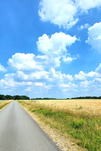 Mitten durch die Felder Mitten durch die Felder